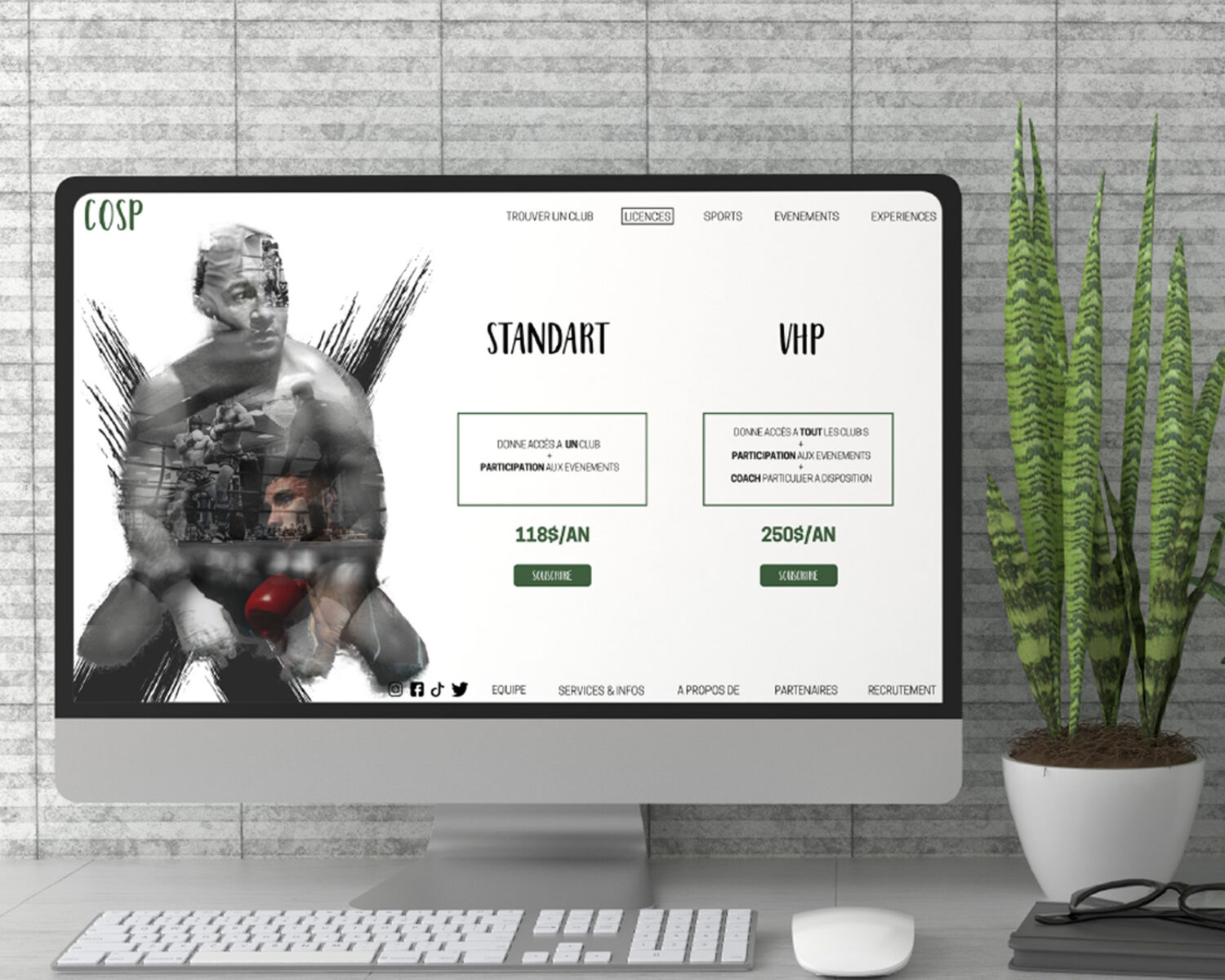 Création site web -Agence Eskyce Communication Design Saint Raphaël